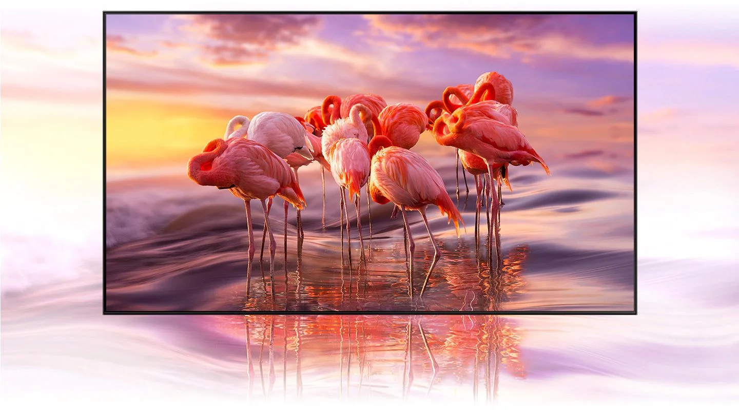  65Q60A TV with Samsung 65Q80A TV
