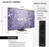 قیمت تلویزیون 75 اینچ سامسونگ QN800C 